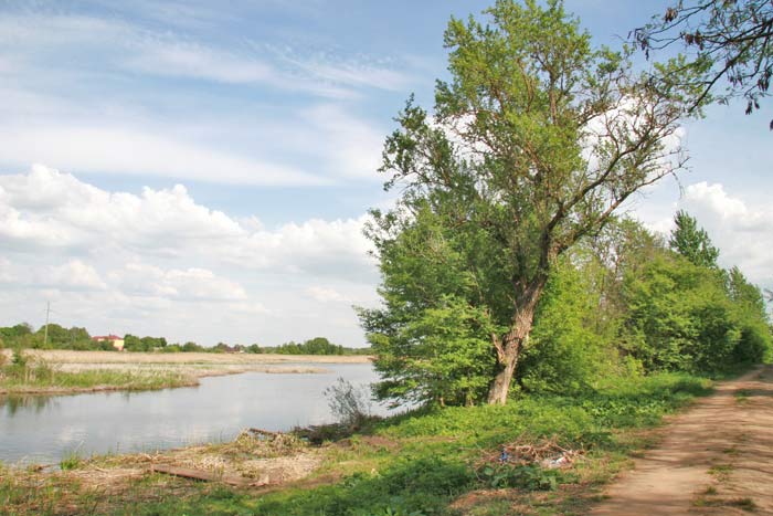 pagost 2 park 3389 1368613781 b1