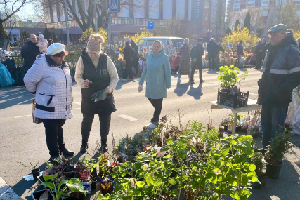 Первая весенняя в Солигорске: фоторепортаж с ярмарки
