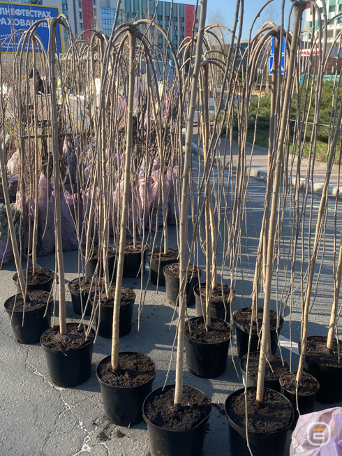 Солигорская ярмарка весной 2026