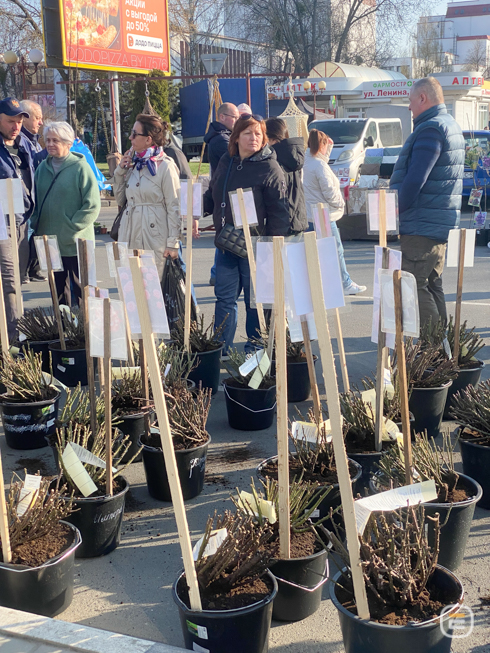 Солигорская ярмарка весной 2026