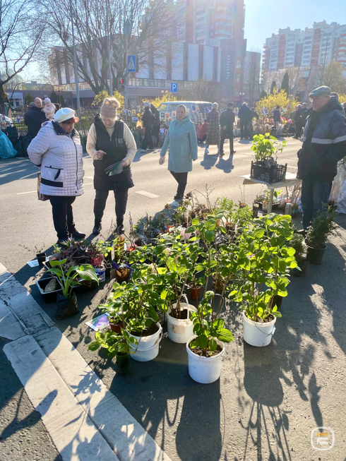 Солигорская ярмарка весной 2026