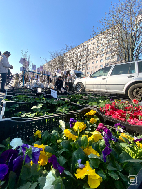 Солигорская ярмарка весной 2026