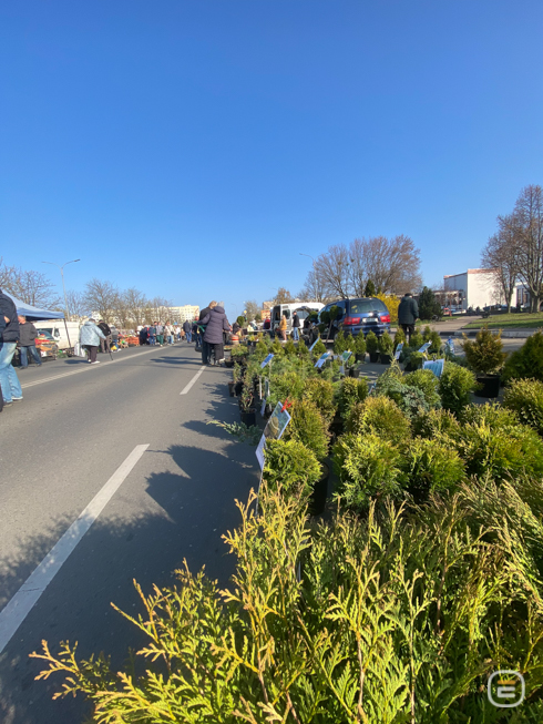 Солигорская ярмарка весной 2026