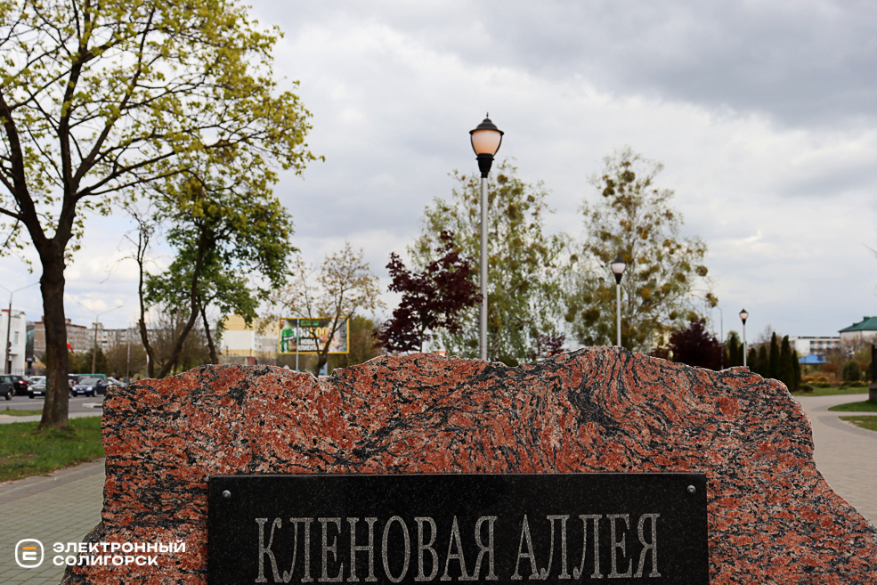 alleya Klen