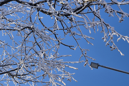 От суровых морозов к мягкой оттепели: какой февраль будет в Солигорске