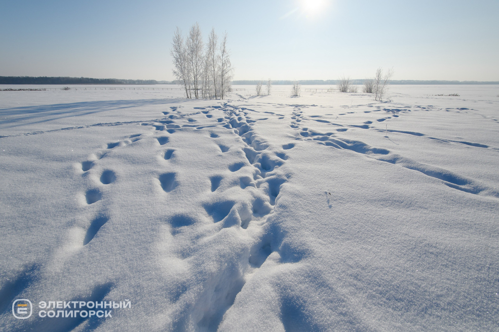 Зима 2026 в Солигорске