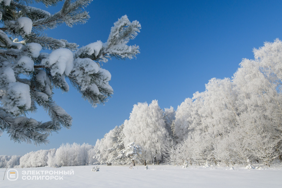 Зима 2026 в Солигорске