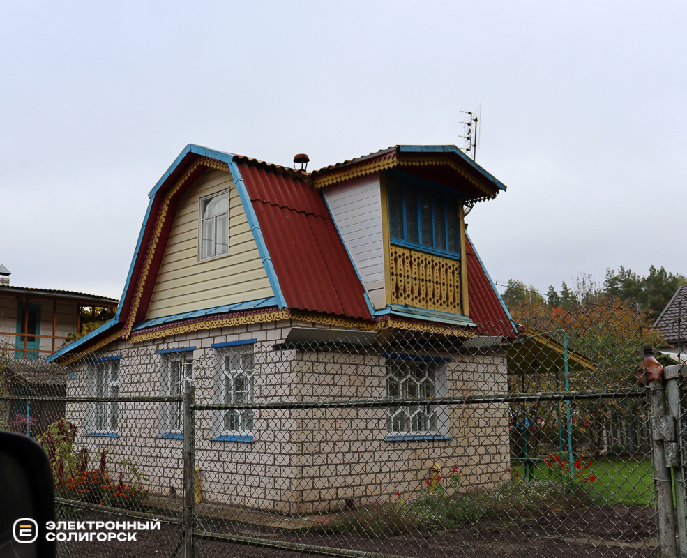 gornyak 10