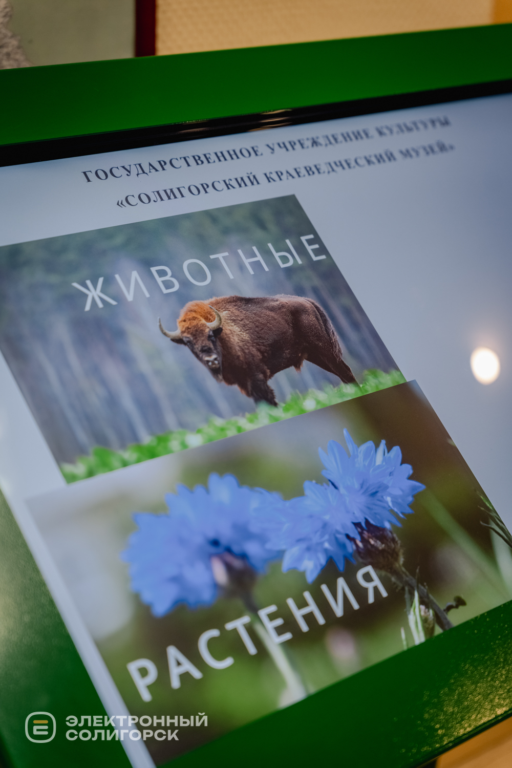 Краеведческий музей Солигорск