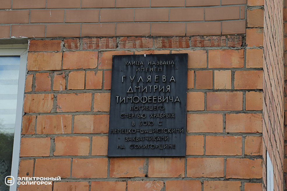 gulyaeva 23