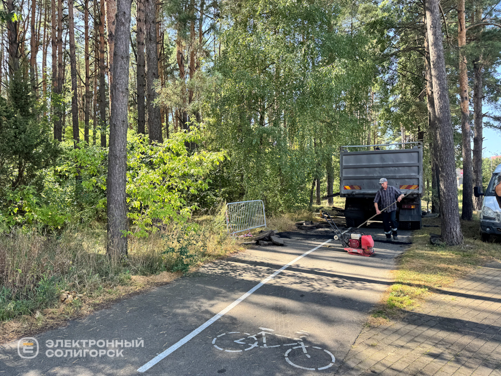 лыжероллерная трасса в солигорске