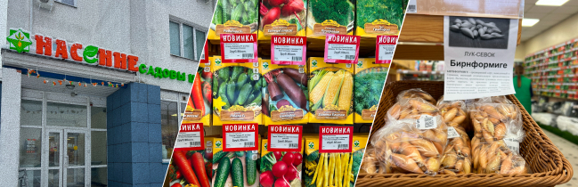 Секрет идеального урожая начинается в садовом центре "Насенне": как выбрать семена и не разочароваться