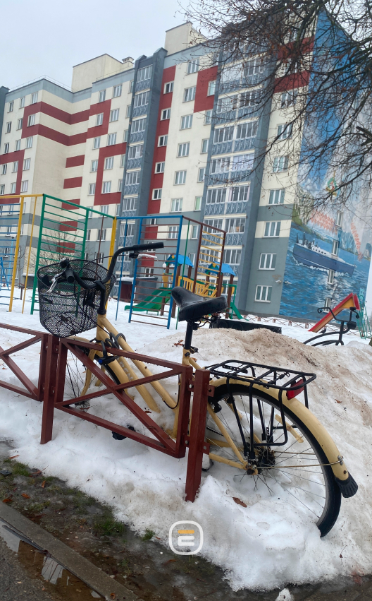 подснежники в Солигорске