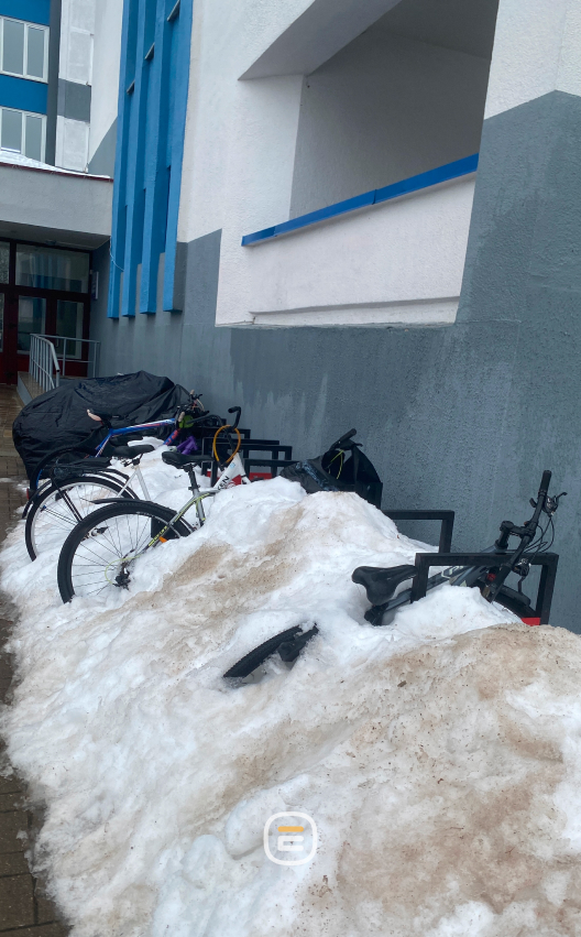 подснежники в Солигорске