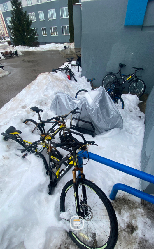 подснежники в Солигорске