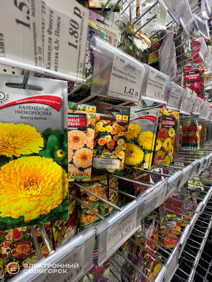 дом семян в солигорске