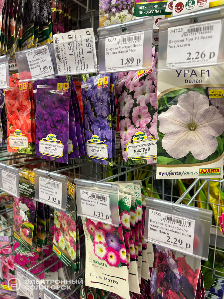 дом семян в солигорске