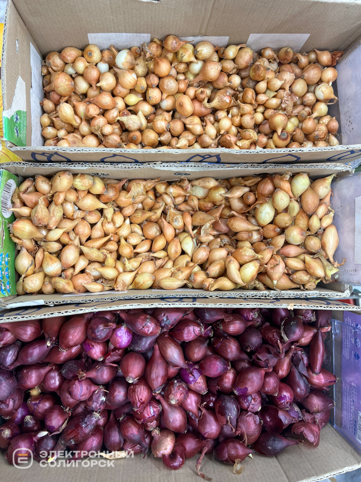 дом семян в солигорске