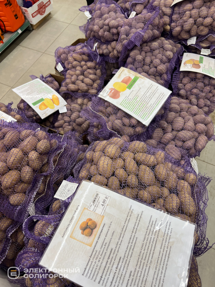 дом семян в солигорске