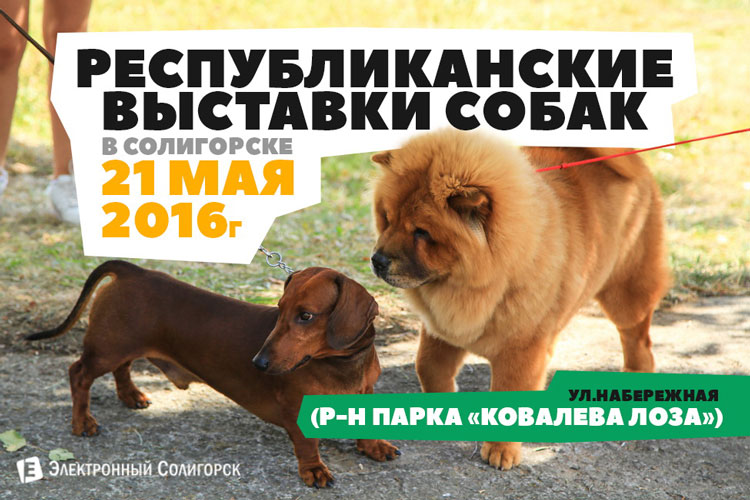 Республиканская выставка собак в Солигорске май 2016