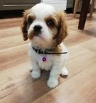 Аватара пользователя